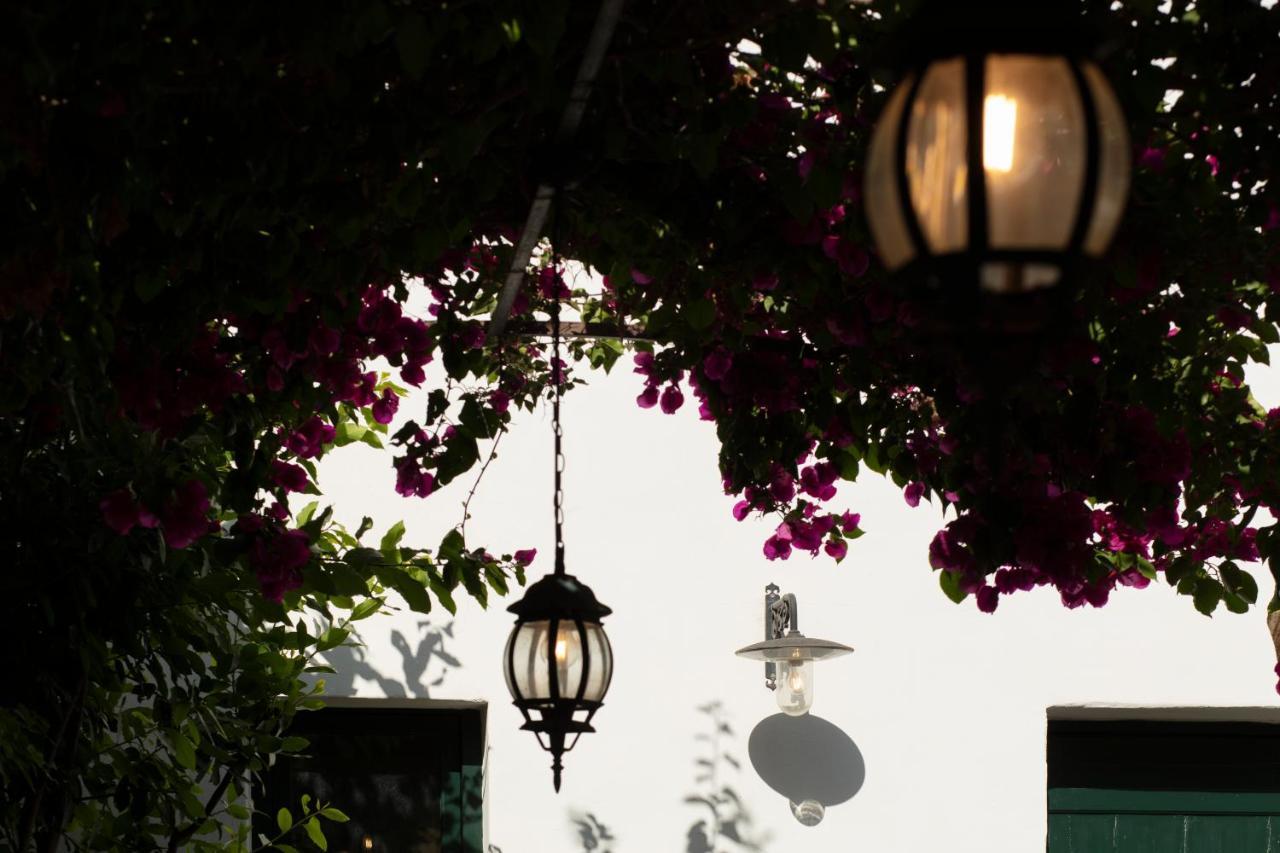 Don Alfonso Dimora D'Epoca Bed & Breakfast รากาเล ภายนอก รูปภาพ